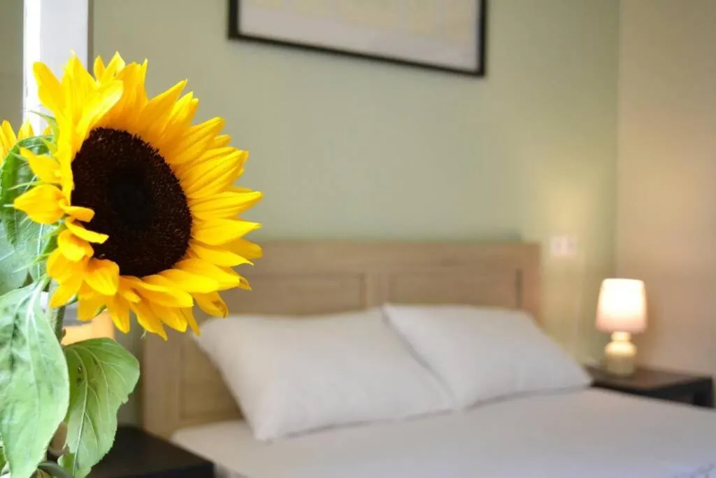 Sunflower Cozy Apts Heraklion  0*, Heraklion (Crete)
